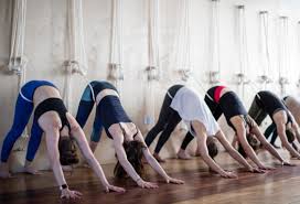 iyengar ropes